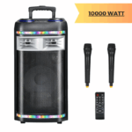 Cassa Amplificata Karaoke 10.000W Bluetooth – 2 Microfoni Wireless, USB e Funzioni Professionali