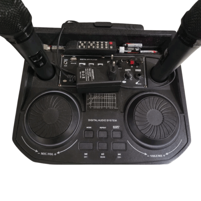 Cassa Amplificata Karaoke 10.000W Bluetooth – 2 Microfoni Wireless, USB e Funzioni Professionali - immagine 3
