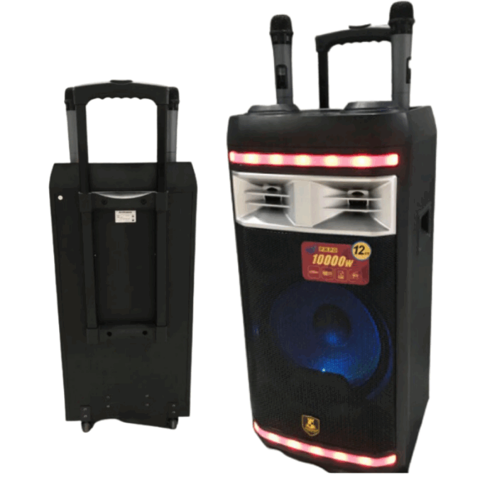 Cassa Amplificata Karaoke 10.000W Bluetooth – 2 Microfoni Wireless, USB e Funzioni Professionali - immagine 4