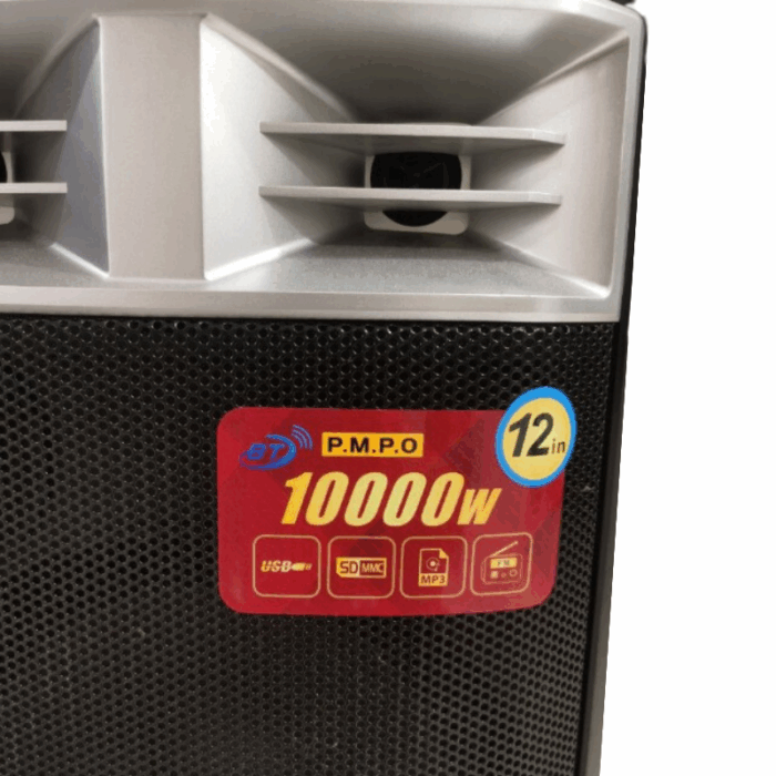 Cassa Amplificata Karaoke 10.000W Bluetooth – 2 Microfoni Wireless, USB e Funzioni Professionali - immagine 5