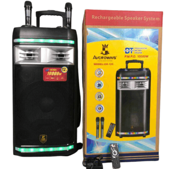 Cassa Amplificata Karaoke 10.000W Bluetooth – 2 Microfoni Wireless, USB e Funzioni Professionali - immagine 2