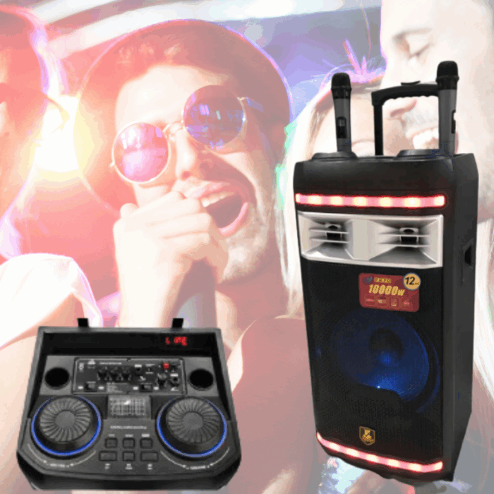 Cassa Amplificata Karaoke 10.000W Bluetooth – 2 Microfoni Wireless, USB e Funzioni Professionali - immagine 6