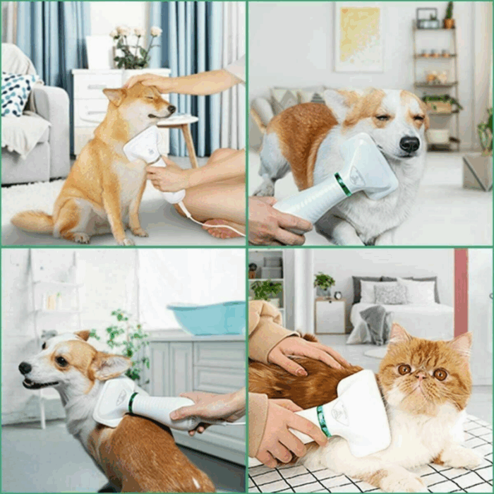 Spazzola Phon 2 in 1 Animali Domestici Asciuga e Pettina Peli - Rumore Basso 2 Velocità - immagine 4
