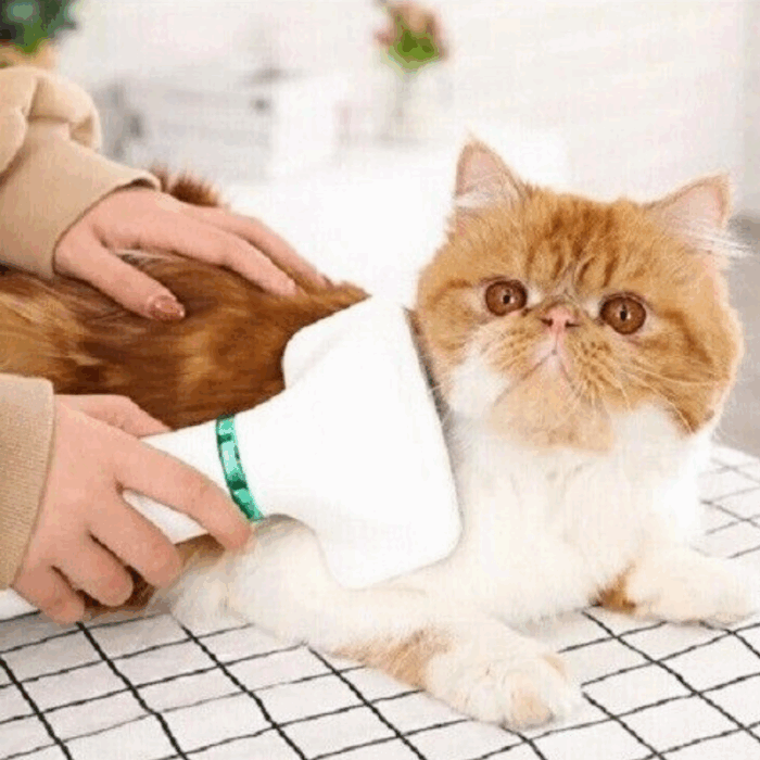 Spazzola Phon 2 in 1 Animali Domestici Asciuga e Pettina Peli - Rumore Basso 2 Velocità - immagine 5