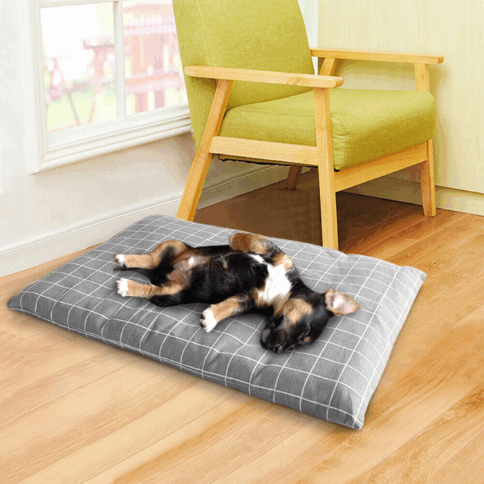 Cuccia Rettangolare Cuscino Morbido 50x35cm Taglia Piccola per Cani e Gatti Materassino Senza Bordi - immagine 5
