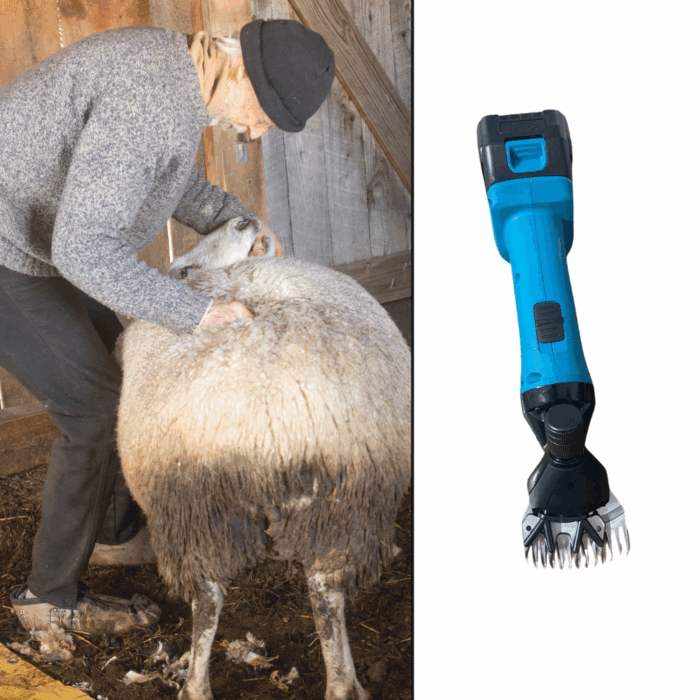 Macchina Tosatrice Tosapecora Professionale 68V | Doppia Batteria 800-1500W per Ovini - immagine 4