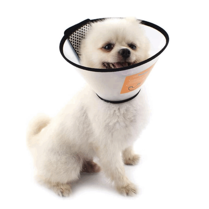 Collare Elisabettiano PVC Taglia Piccola 17-32cm per Cani e Gatti, Trasparente  Anti-Morso - immagine 3