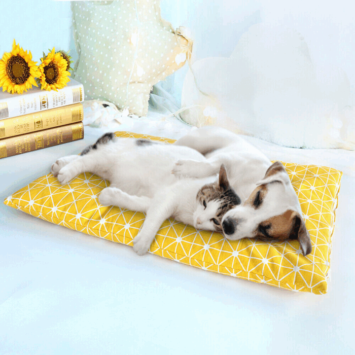 Cuccia Rettangolare Cuscino Morbido 50x35cm Taglia Piccola per Cani e Gatti Materassino Senza Bordi - immagine 6