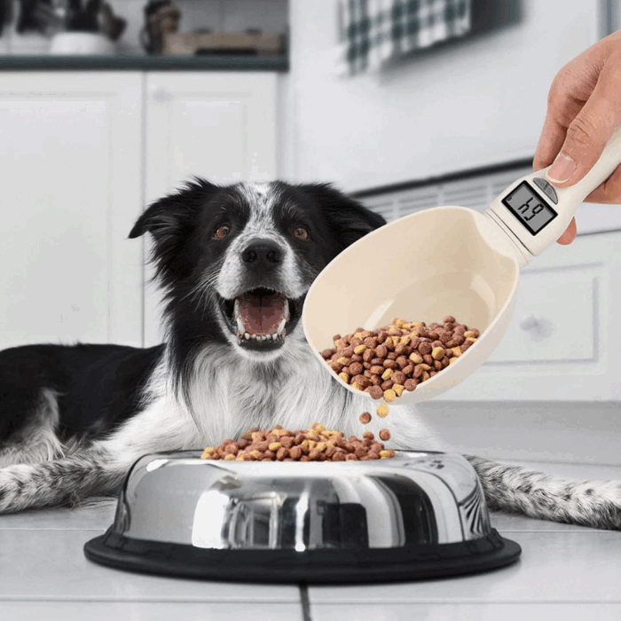 Misurino Crocchette per Cani con Display LCD | Paletta e Bilancia per Alimenti Precisa e Facile da Usare - immagine 4