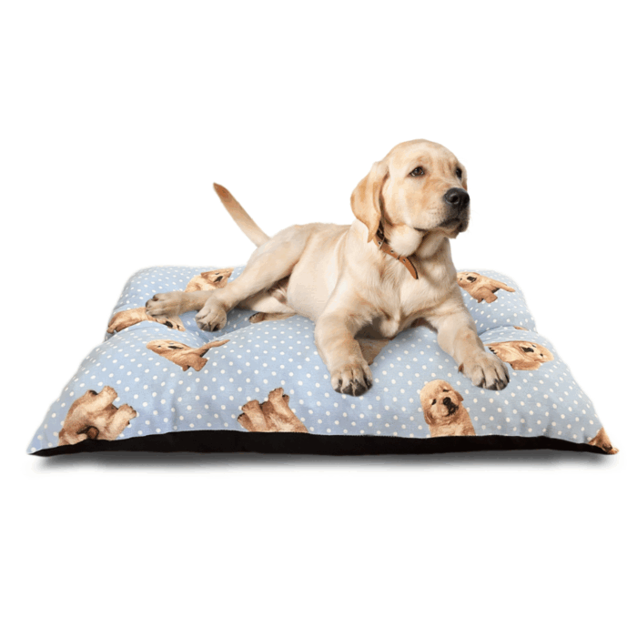 Cuccia Rettangolare Cuscino Morbido 50x35cm Taglia Piccola per Cani e Gatti Materassino Senza Bordi - immagine 7