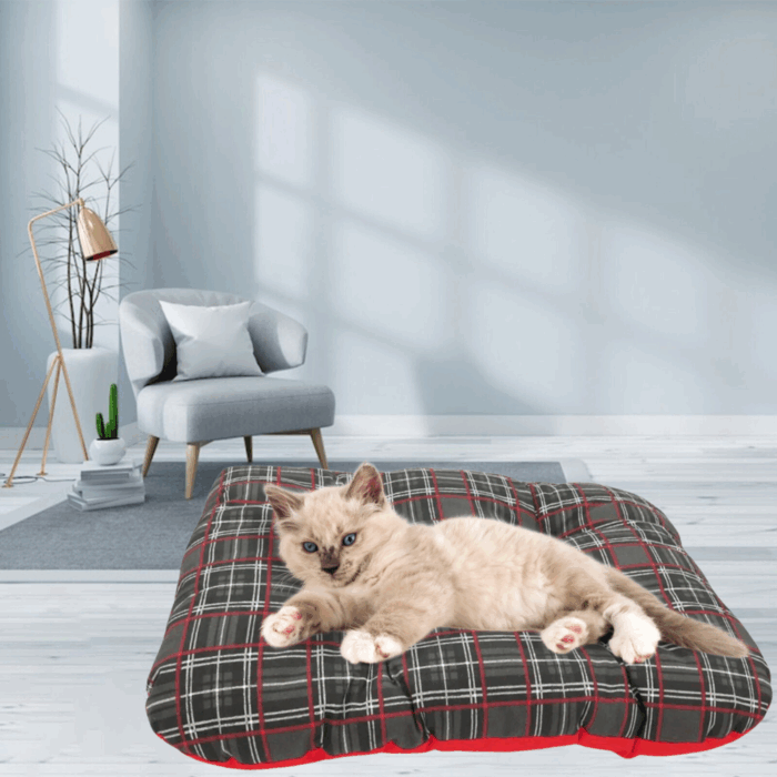 Cuccia Rettangolare Cuscino Morbido 50x35cm Taglia Piccola per Cani e Gatti Materassino Senza Bordi - immagine 3