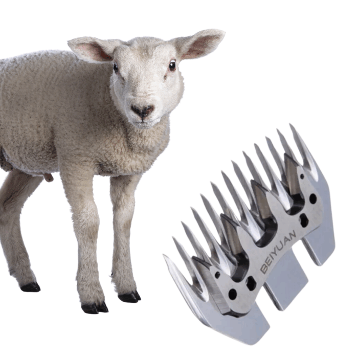 Lama di Ricambio Universale per Tosatrice a 13 Denti Diritti, Tosapecore Pettine Lana - immagine 2
