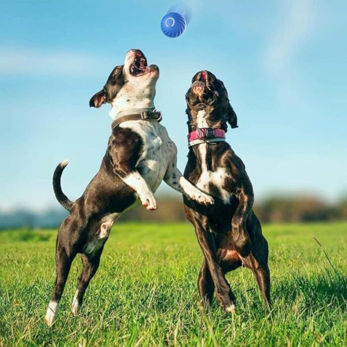 Palla Rimbalzante Auto-Rotolante per Cani e Gatti con Luce LED | Gioco Interattivo Intelligente Ricaricabile USB - immagine 6