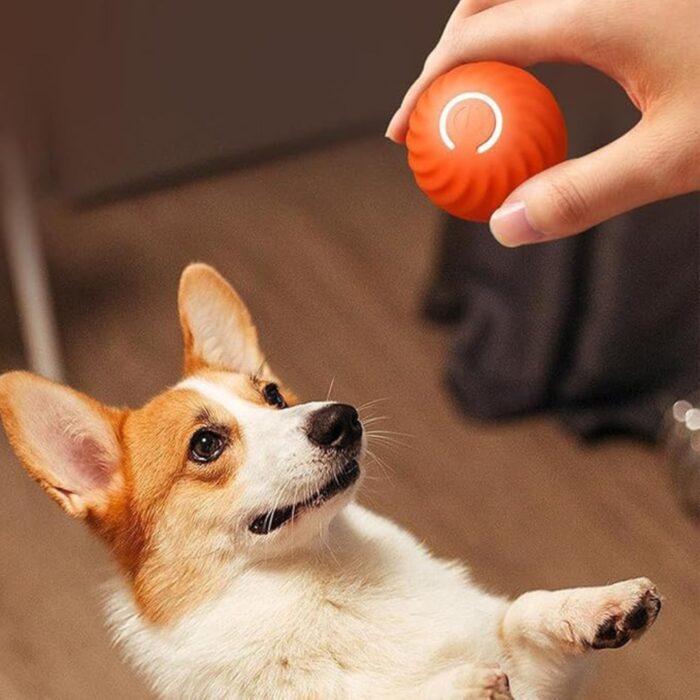 Palla Rimbalzante Auto-Rotolante per Cani e Gatti con Luce LED | Gioco Interattivo Intelligente Ricaricabile USB - immagine 4