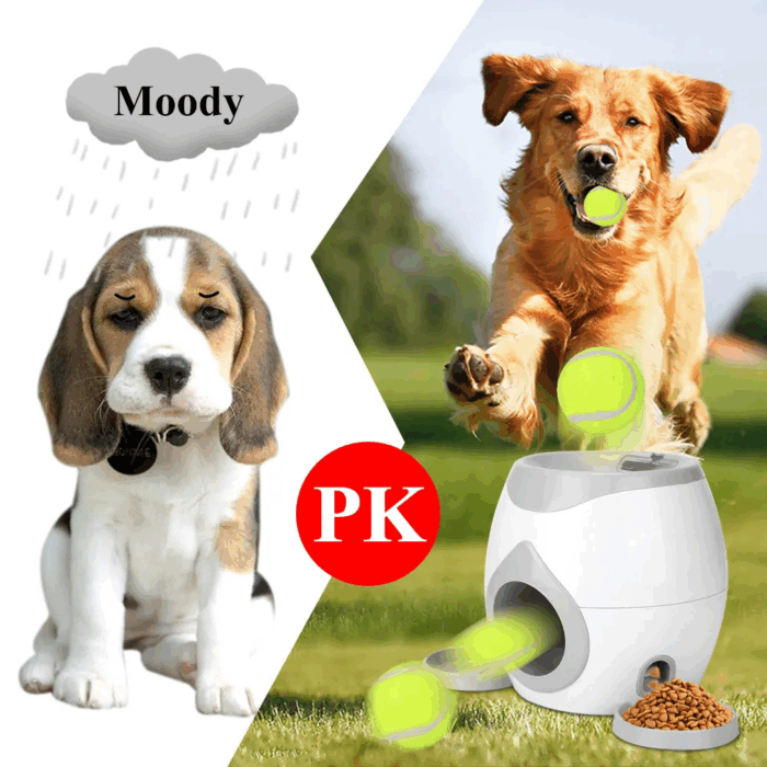 Giocattolo Interattivo per Cani 3 in 1 | Gioco Automatico per Addestramento con Palline - immagine 6